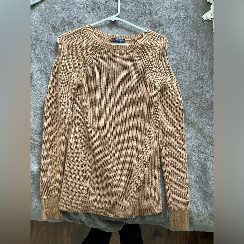 XS Ann Taylor Sweater